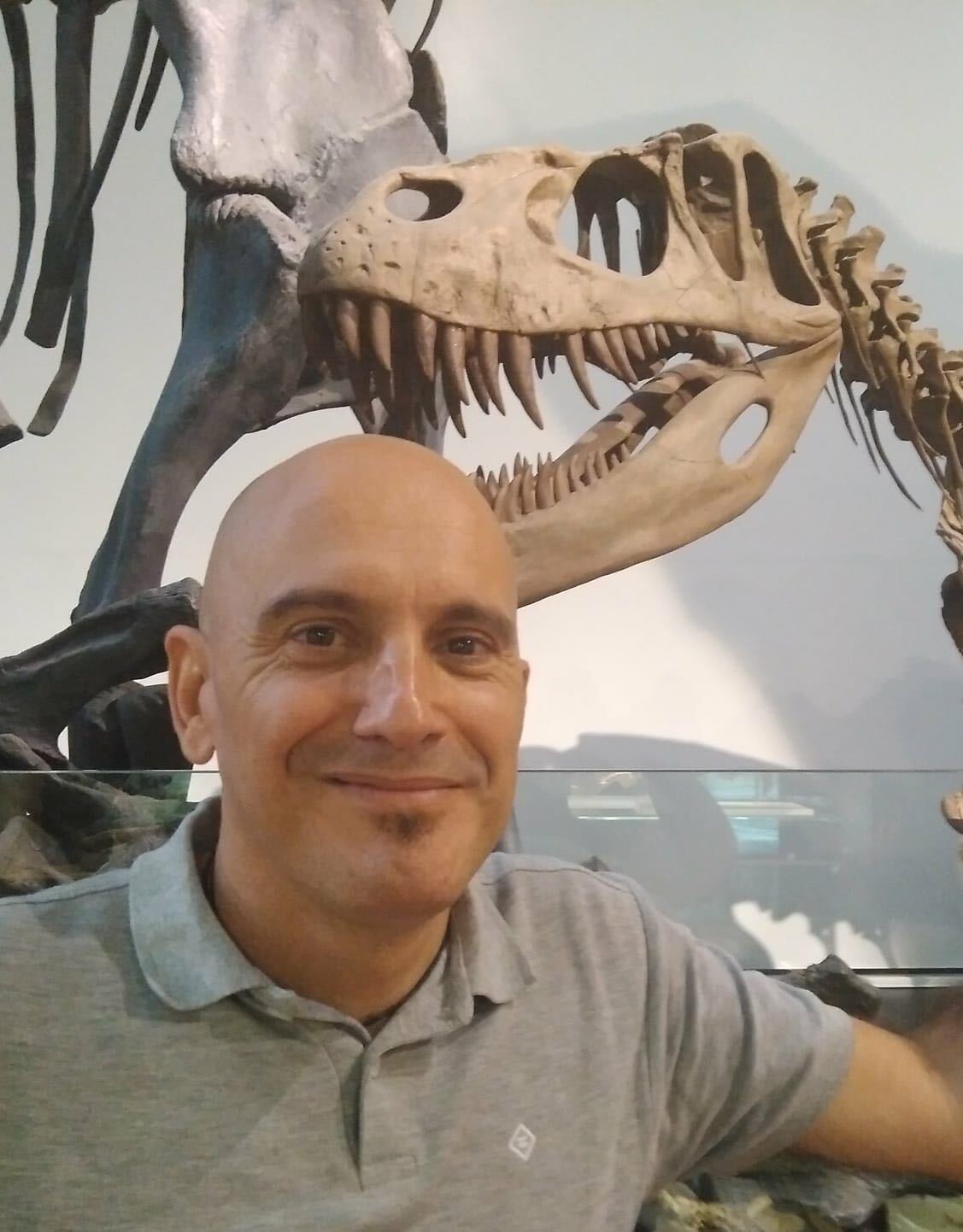 Cometa Colin | Divulgador científico: “Pueden quedar unas 900 especies de  dinosaurios por descubrir”